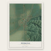 Perkins, Missouri map print, the full design