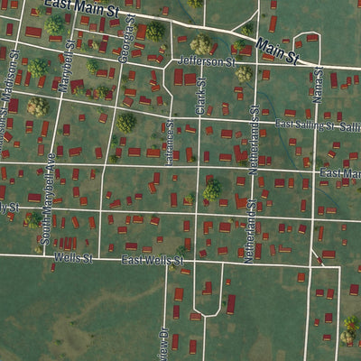 Close-up of the map of Perry, Missouri print showing street and building detail