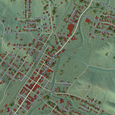 Close-up of the map of Piedmont, Missouri print showing street and building detail