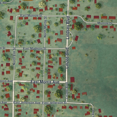 Second close-up of the map of Pierce City, Missouri print showing more streets and buildings