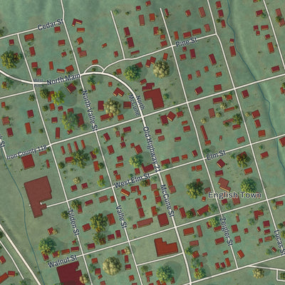 Close-up of the map of Pilot Knob, Missouri print showing street and building detail