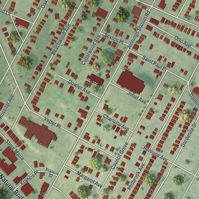 Close-up of the map of Pine Lawn, Missouri print showing street and building detail