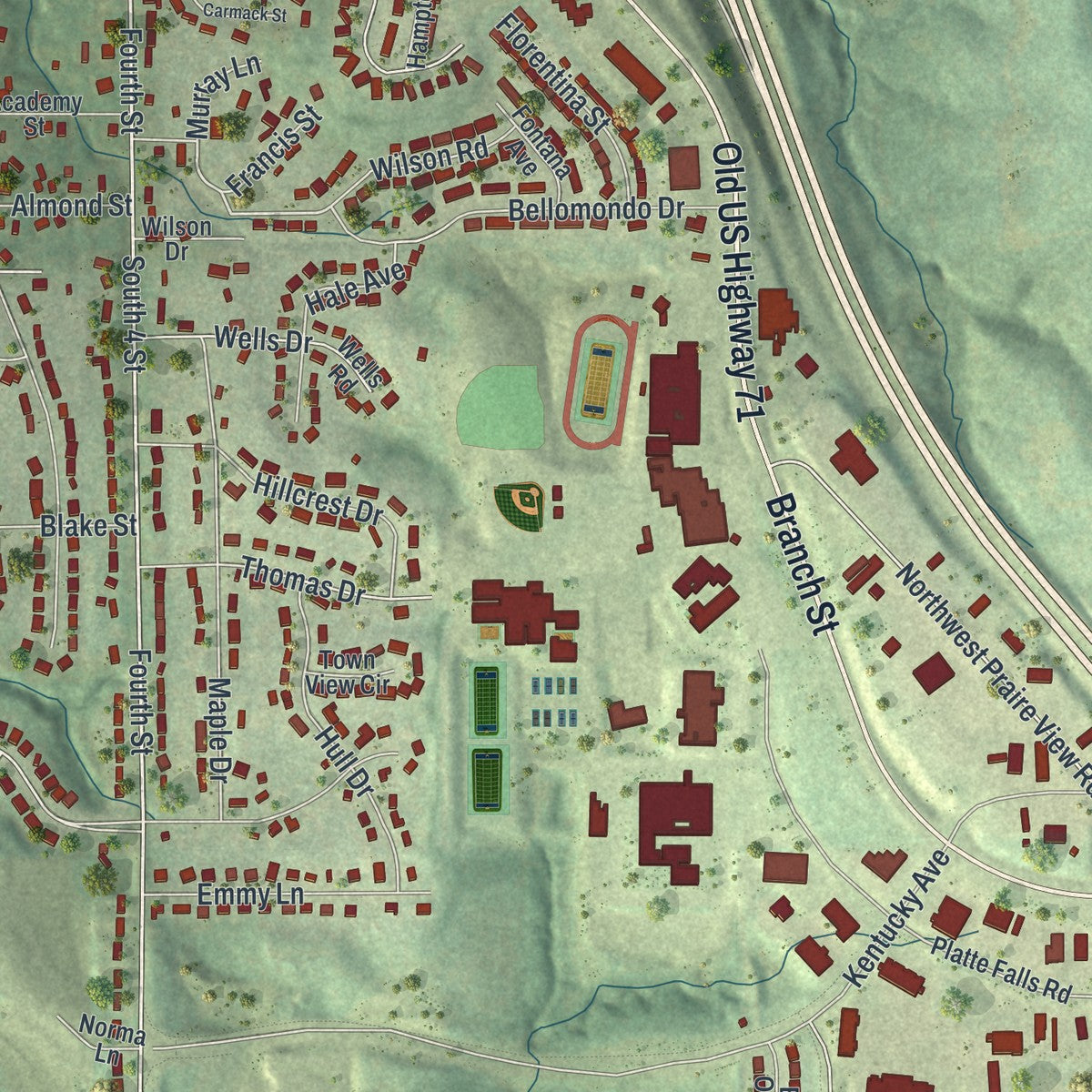 Close-up of the map of Platte City, Missouri print showing street and building detail