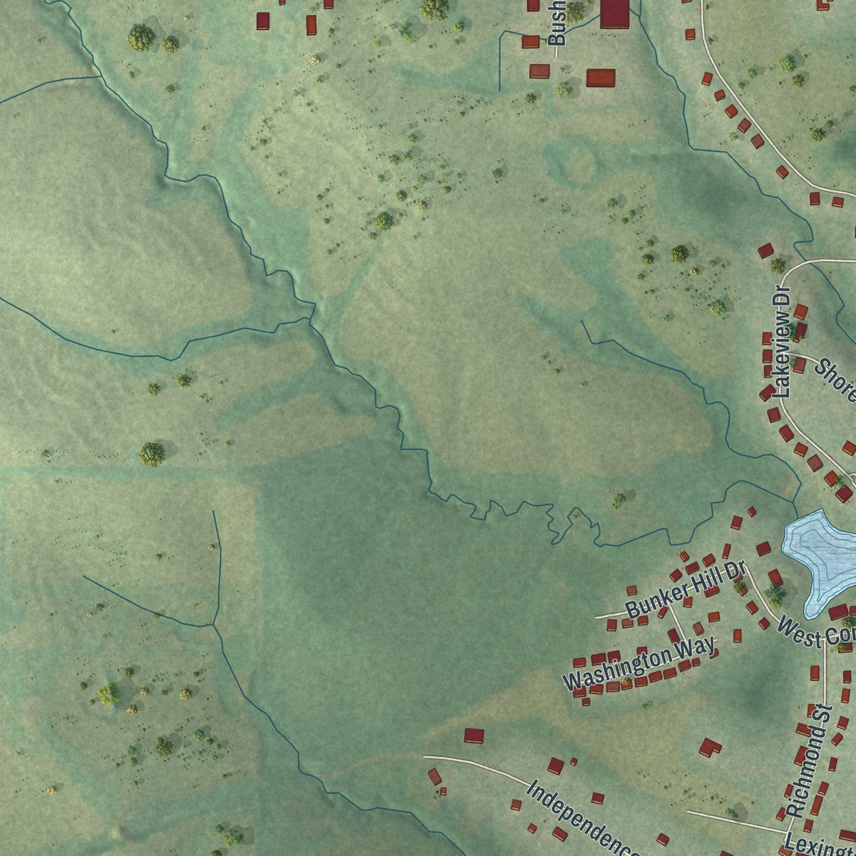 Second close-up of the map of Plattsburg, Missouri print showing more streets and buildings