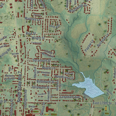 Close-up of the map of Pleasant Hill, Missouri print showing street and building detail
