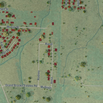 Second close-up of the map of Pleasant Hope, Missouri print showing more streets and buildings
