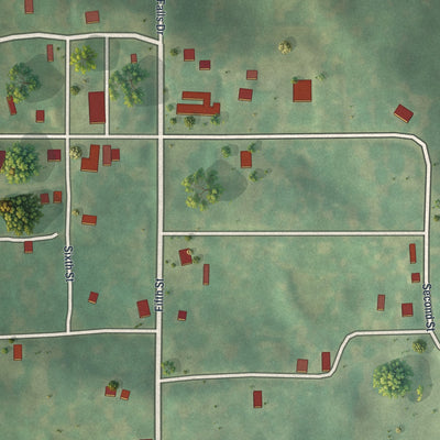 Close-up of the map of Pollock, Missouri print showing street and building detail