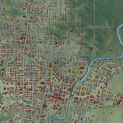 Close-up of the map of Poplar Bluff, Missouri print showing street and building detail