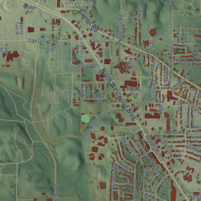 Second close-up of the map of Poplar Bluff, Missouri print showing more streets and buildings
