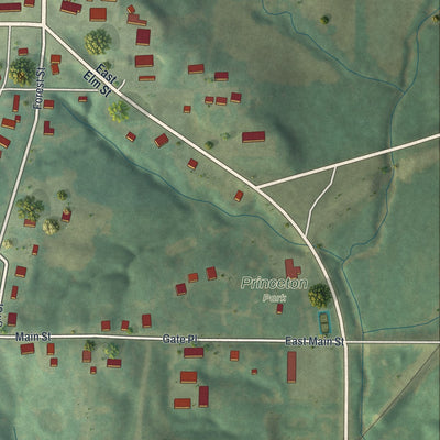 Second close-up of the map of Princeton, Missouri print showing more streets and buildings
