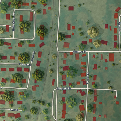 Second close-up of the map of Purdy, Missouri print showing more streets and buildings