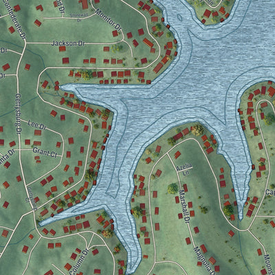 Close-up of the map of Raintree Plantation, Missouri print showing street and building detail