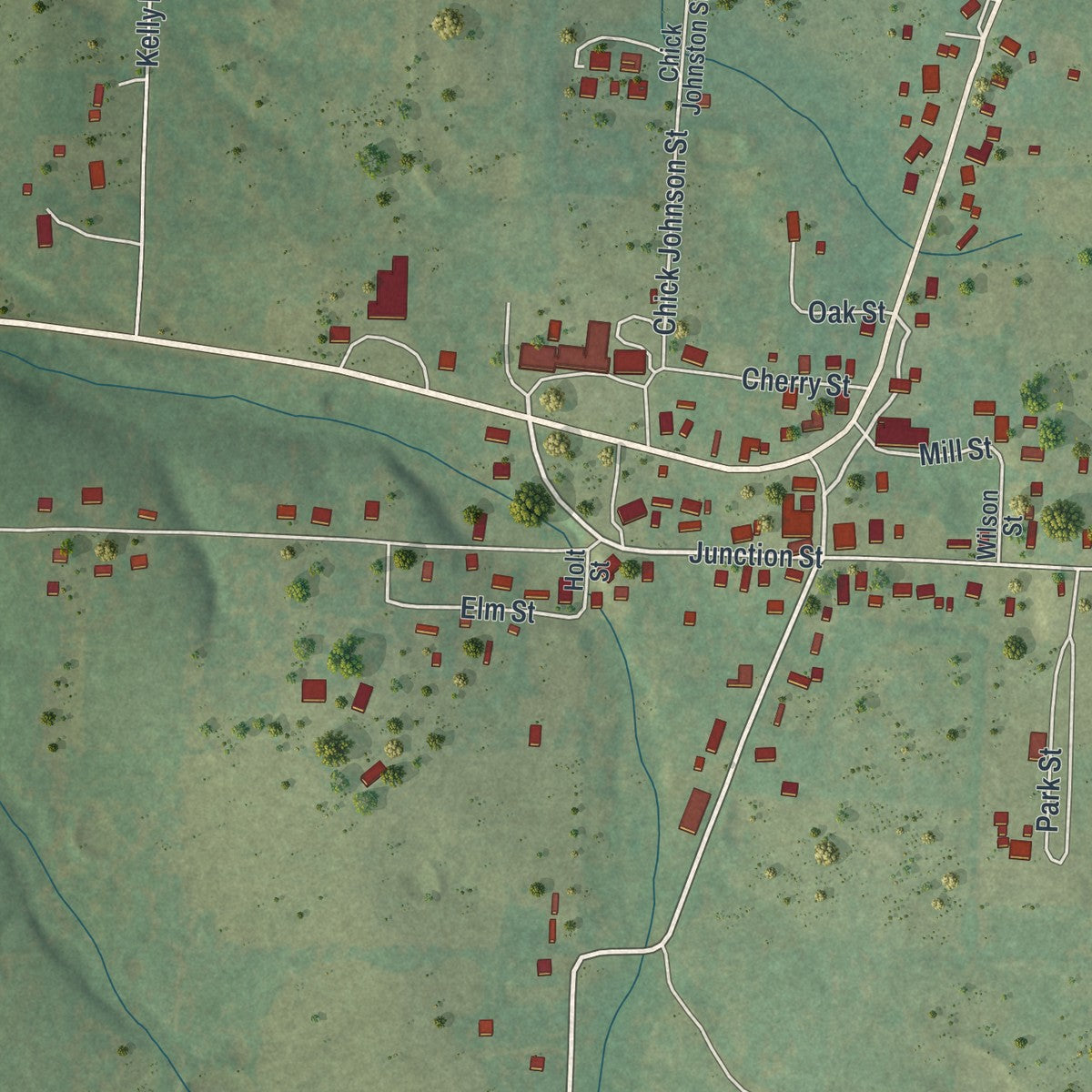 Close-up of the map of Raymondville, Missouri print showing street and building detail