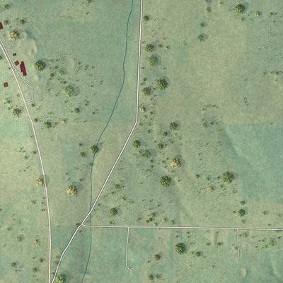 Second close-up of the map of Raymondville, Missouri print showing more streets and buildings