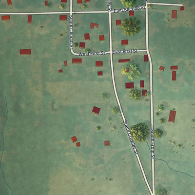 Close-up of the map of Rayville, Missouri print showing street and building detail