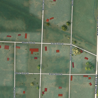 Close-up of the map of Reeds, Missouri print showing street and building detail
