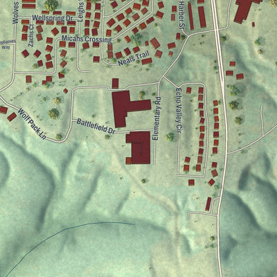 Close-up of the map of Reeds Spring, Missouri print showing street and building detail