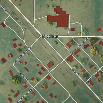 Close-up of the map of Renick, Missouri print showing street and building detail