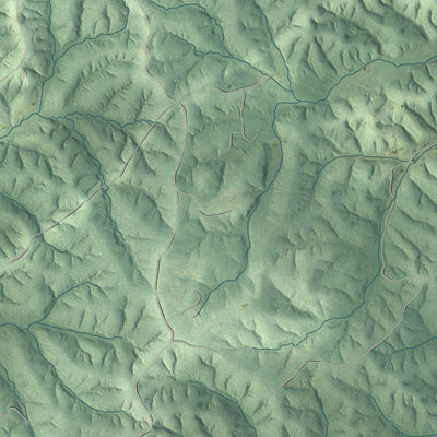Close-up of the map of Richwoods, Missouri print showing street and building detail