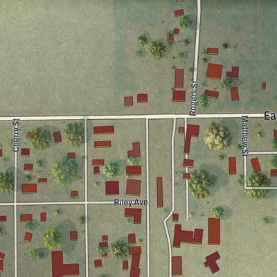 Close-up of the map of Risco, Missouri print showing street and building detail