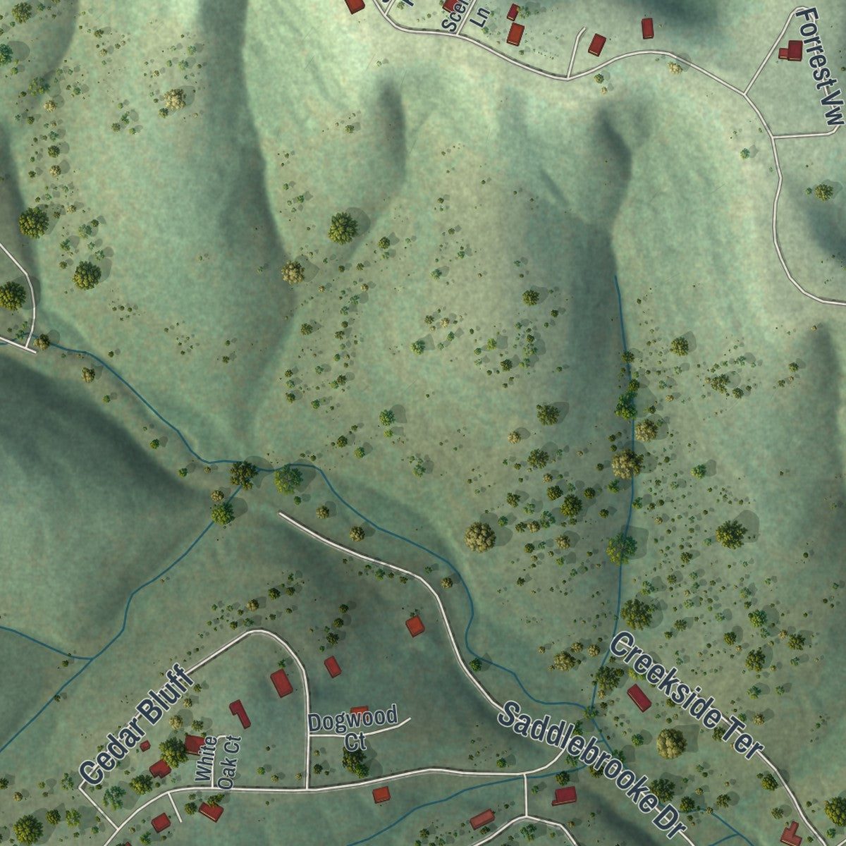 Second close-up of the map of Saddlebrooke, Missouri print showing more streets and buildings