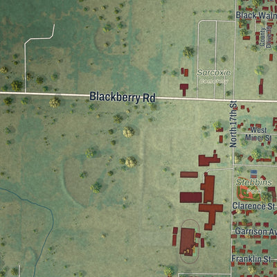 Second close-up of the map of Sarcoxie, Missouri print showing more streets and buildings