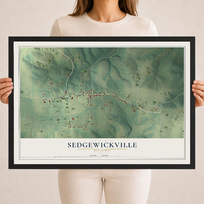 Map of Sedgewickville, Missouri, 18 x 24 inch print in a black wood frame