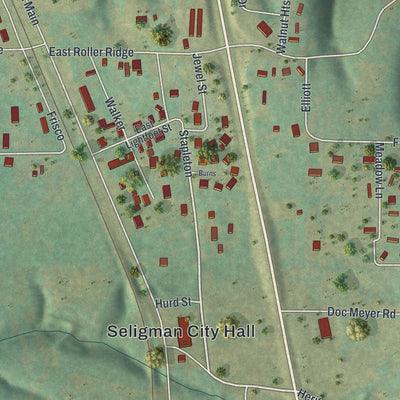 Close-up of the map of Seligman, Missouri print showing street and building detail