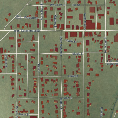 Close-up of the map of Senath, Missouri print showing street and building detail