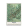 Map of Seneca, Missouri, 12 x 18 inch unframed archival matte print