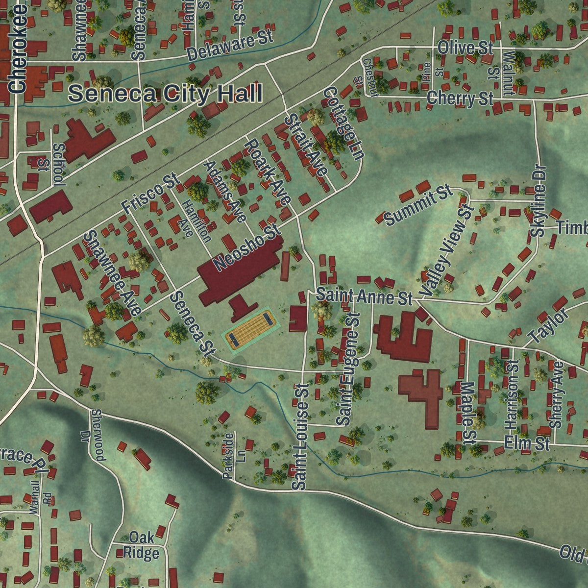 Close-up of the map of Seneca, Missouri print showing street and building detail