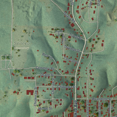 Second close-up of the map of Seneca, Missouri print showing more streets and buildings
