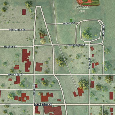 Close-up of the map of Skidmore, Missouri print showing street and building detail