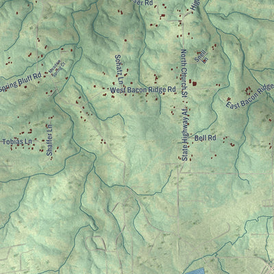 Close-up of the map of Spring Bluff, Missouri print showing street and building detail