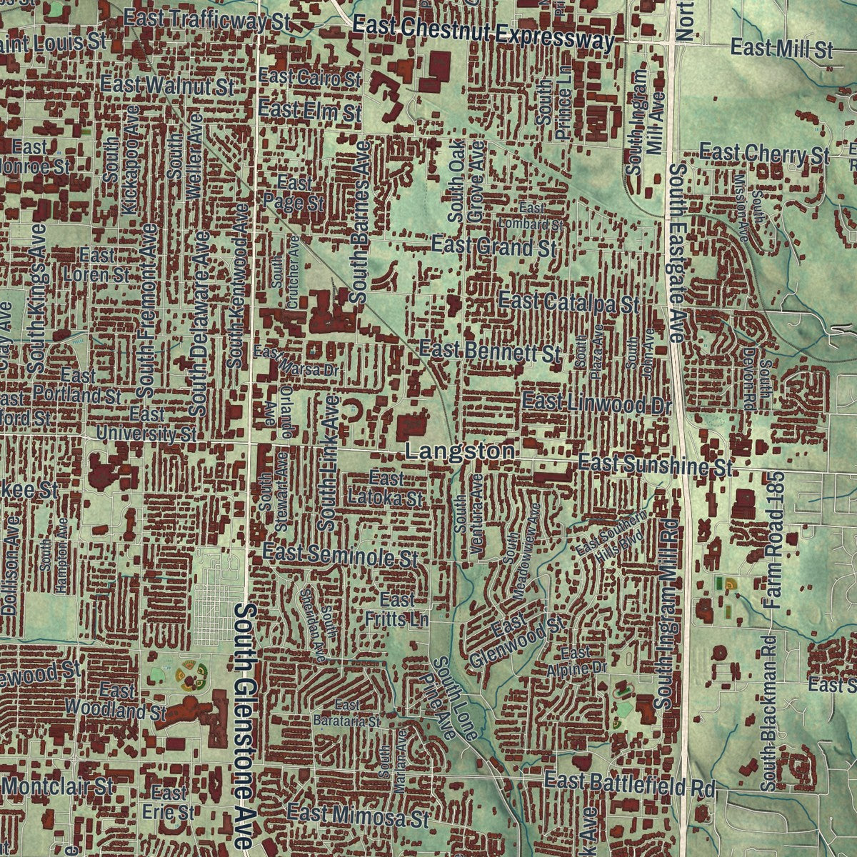 Close-up of the map of Springfield, Missouri print showing street and building detail