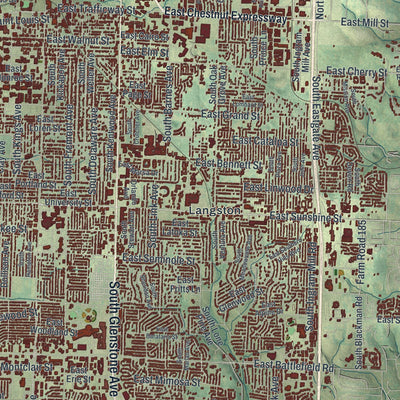 Close-up of the map of Springfield, Missouri print showing street and building detail