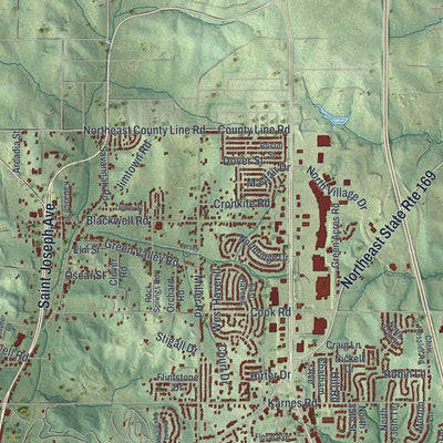 Second close-up of the map of St. Joseph, Missouri print showing more streets and buildings