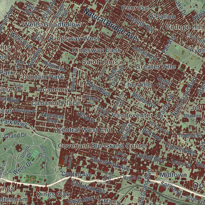 Close-up of the map of St. Louis, Missouri print showing street and building detail