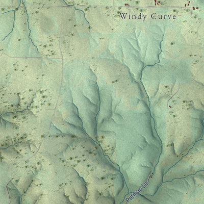 Close-up of the map of Success, Missouri print showing street and building detail