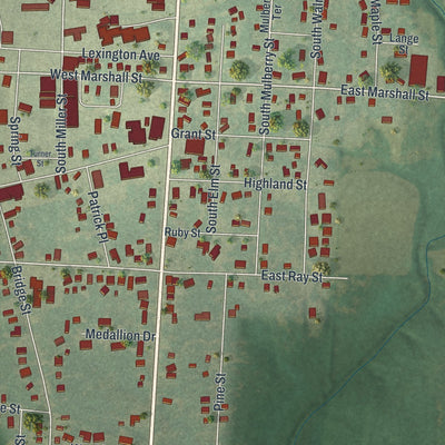 Close-up of the map of Sweet Springs, Missouri print showing street and building detail