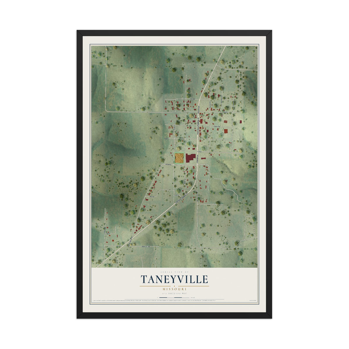 Map of Taneyville, Missouri, 12 x 18 inch print in a black wood frame