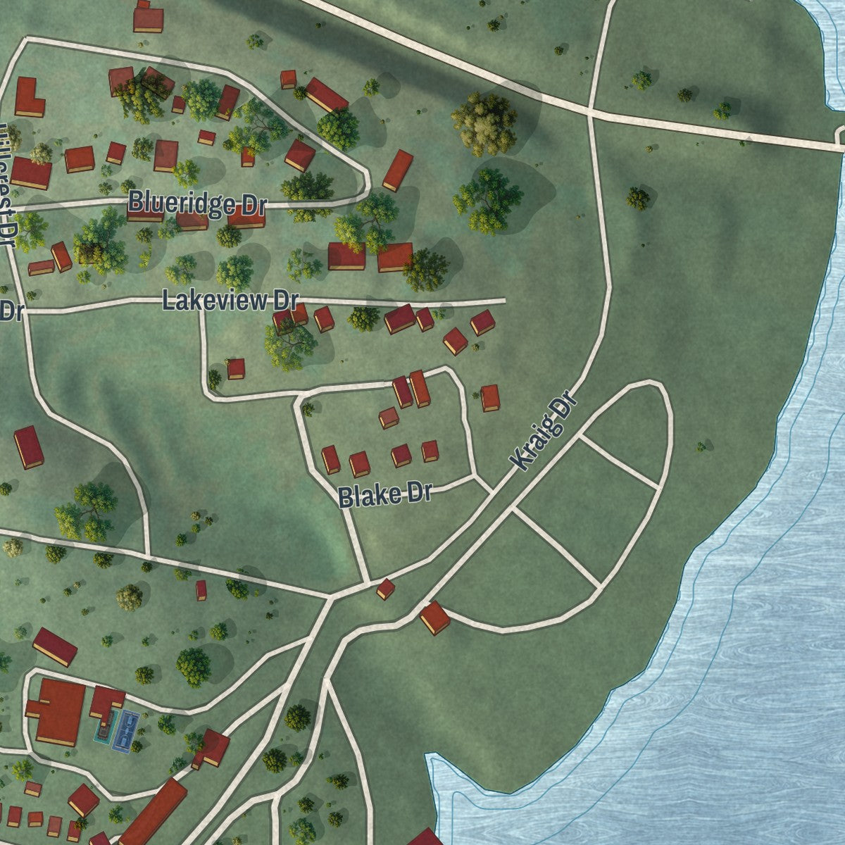 Close-up of the map of Theodosia, Missouri print showing street and building detail