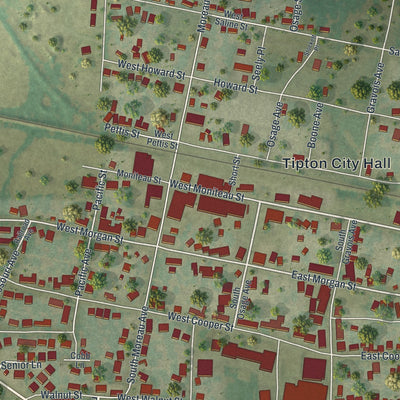 Close-up of the map of Tipton, Missouri print showing street and building detail