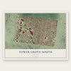 Tower Grove South, Missouri map print, the full design