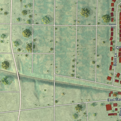 Close-up of the map of Truesdale, Missouri print showing street and building detail