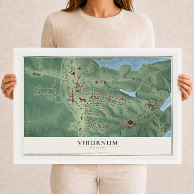 Map of Viburnum, Missouri, 12 x 18 inch print in a white wood frame