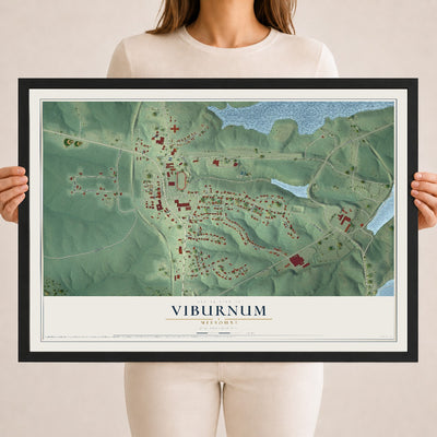 Map of Viburnum, Missouri, 18 x 24 inch print in a black wood frame
