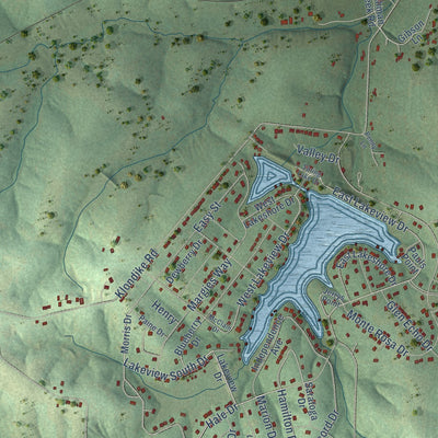Close-up of the map of Vineland, Missouri print showing street and building detail