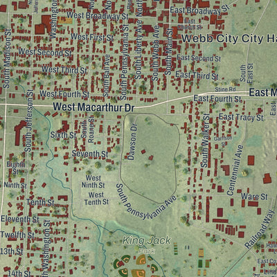 Close-up of the map of Webb City, Missouri print showing street and building detail