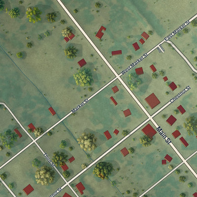 Close-up of the map of Wentworth, Missouri print showing street and building detail